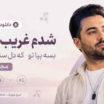 دانلود آهنگ شدم غریب و تنها بسه بیا تو که دل سنگ نداشتی مجتبی زمانی