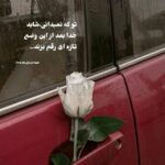دانلود آهنگ خدایا تشنه بارانم کویرم به لب آمد جانم رضا بهرام