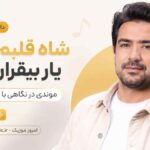 دانلود آهنگ شاه قلبم تو یار بیقرارم تو موندی در نگاهی با صدای مرد