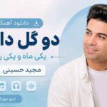 دانلود آهنگ دو گل دارم یکی ماه و یکی روز مجید حسینی MP3