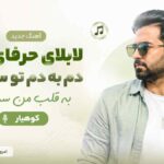 آهنگ لابلای حرفای منی دم به دم  تو سر زده به قلب من سر بزن کوهیار