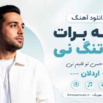 دانلود آهنگ دیگه برات دلم تنگ نی یه ذره حس تو قلبم نی اردلان