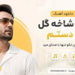 دانلود آهنگ با یه شاخه گل تو دستم تو خیابون تکو تنها با صدای مرد