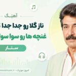 آهنگ ناز گلا رو جدا جدا گذاشتم غنچه ها رو سوا سوا گذاشتم ستار