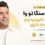 دانلود آهنگ نکردی سنگا تو وا با دلمو نفهمیدیم دوسم داری با صدای مرد