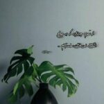 آهنگ پس از مرگم فغان گریه و زاری نمیخواهم با صدای مرد هوش مصنوعی