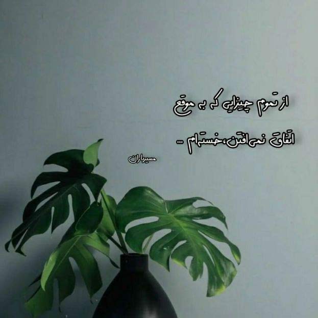 آهنگ پس از مرگم فغان گریه و زاری نمیخواهم با صدای مرد هوش مصنوعی