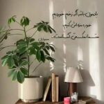 دانلود آهنگ منو خدا شما همه کل کره زمین با هم بشین تتلو MP3